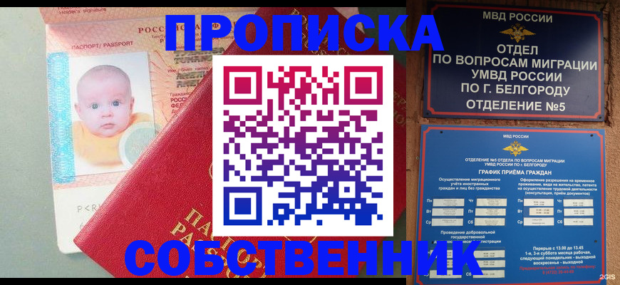 прописка для школы в Старом Осколе